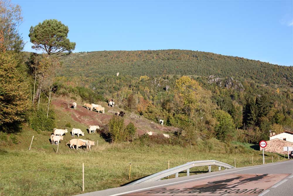 Colonia Estabanell o colonia Matabosch